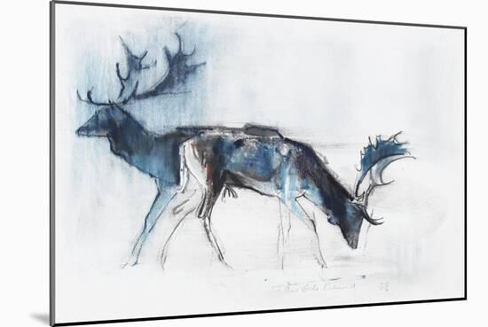 Fallow Bucks, Richmond, 2006-Mark Adlington-Mounted Giclee Print