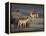 Fallow Deer Bucks, Dama Dama, Dallam Estate, Cumbria, England, United Kingdom-Steve & Ann Toon-Framed Premier Image Canvas