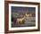 Fallow Deer Bucks, Dama Dama, Dallam Estate, Cumbria, England, United Kingdom-Steve & Ann Toon-Framed Photographic Print