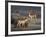 Fallow Deer Bucks, Dama Dama, Dallam Estate, Cumbria, England, United Kingdom-Steve & Ann Toon-Framed Photographic Print