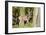 Fallow Deer, Fallow Bucks, Dama Dama, Wood,-Reiner Bernhardt-Framed Photographic Print