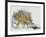 Fallow Deer Fawns (Dama Dama), Cervidae-null-Framed Giclee Print