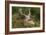 Fallow Deer Male in Velvet Resting in Undergrowth-null-Framed Photographic Print