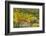 Fallow field in flower, Abruzzo, Italy-Paul Harcourt Davies-Framed Photographic Print