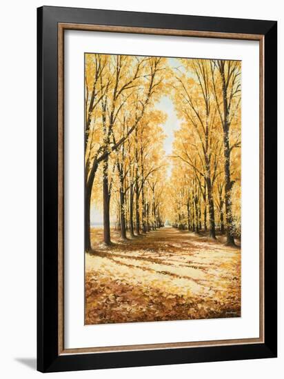 Falls Cathedral-Bruce Nawrocke-Framed Art Print