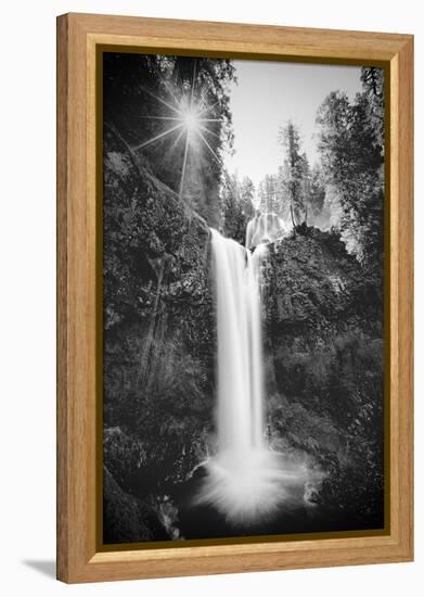 Falls Creek Falls in Black and White, Washington, Columbia River Gorge-Vincent James-Framed Premier Image Canvas