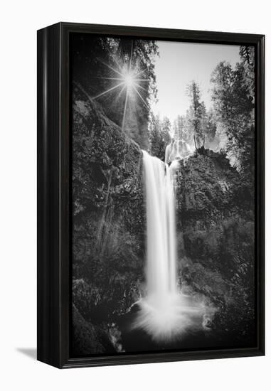 Falls Creek Falls in Black and White, Washington, Columbia River Gorge-Vincent James-Framed Premier Image Canvas