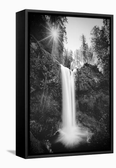 Falls Creek Falls in Black and White, Washington, Columbia River Gorge-Vincent James-Framed Premier Image Canvas