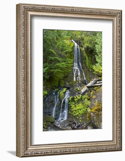 Falls Creek Falls, Mount Rainier National Park, Washington, USA-Michel Hersen-Framed Photographic Print