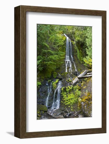 Falls Creek Falls, Mount Rainier National Park, Washington, USA-Michel Hersen-Framed Photographic Print