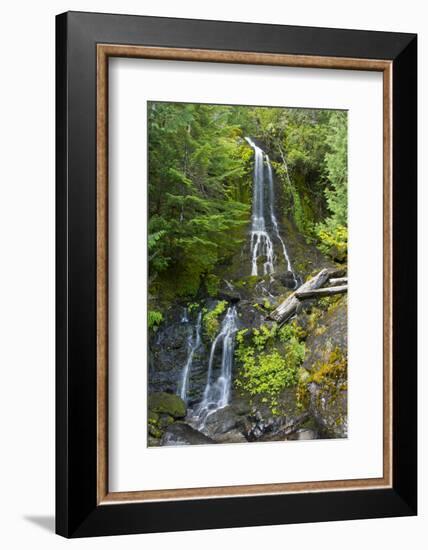 Falls Creek Falls, Mount Rainier National Park, Washington, USA-Michel Hersen-Framed Photographic Print