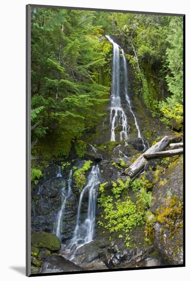 Falls Creek Falls, Mount Rainier National Park, Washington, USA-Michel Hersen-Mounted Photographic Print