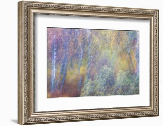 Falls Fire-Doug Chinnery-Framed Photographic Print