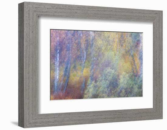 Falls Fire-Doug Chinnery-Framed Photographic Print