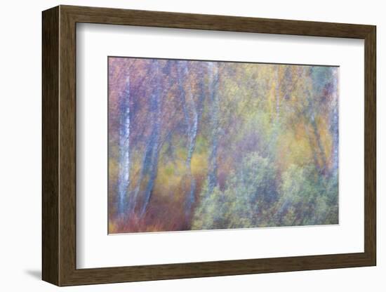 Falls Fire-Doug Chinnery-Framed Photographic Print