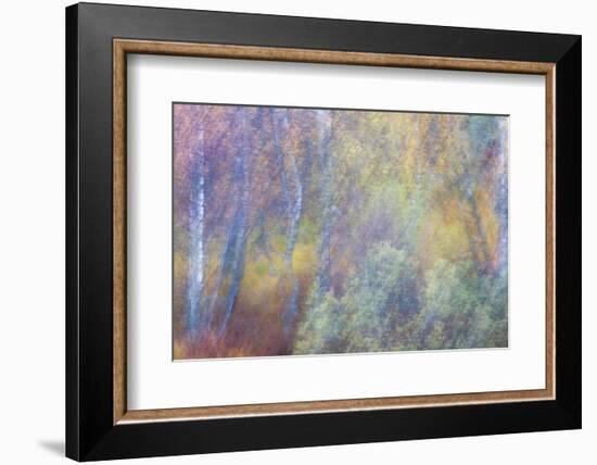 Falls Fire-Doug Chinnery-Framed Photographic Print