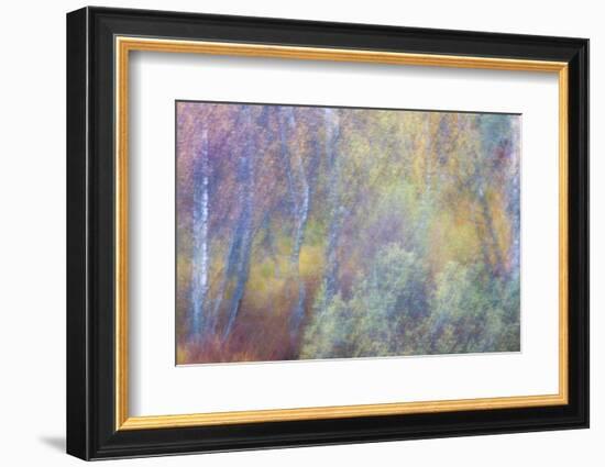 Falls Fire-Doug Chinnery-Framed Photographic Print