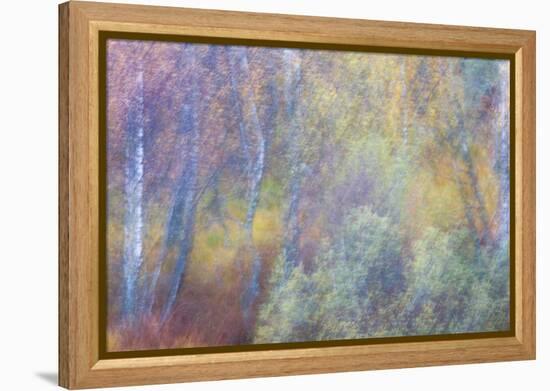 Falls Fire-Doug Chinnery-Framed Premier Image Canvas