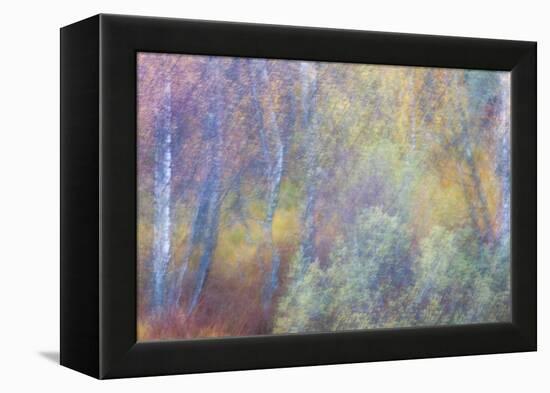 Falls Fire-Doug Chinnery-Framed Premier Image Canvas