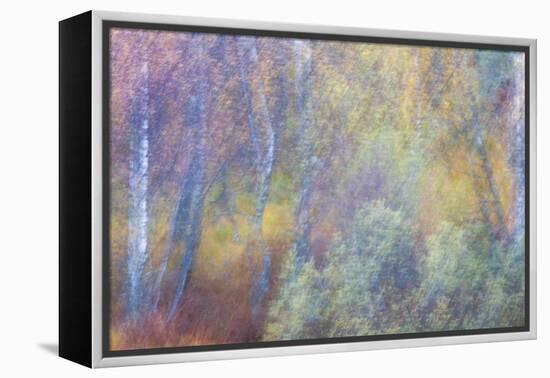 Falls Fire-Doug Chinnery-Framed Premier Image Canvas