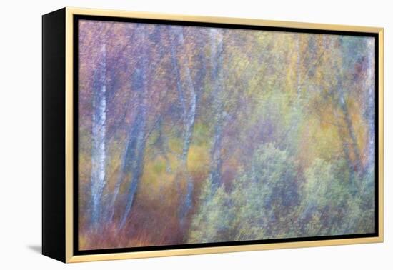 Falls Fire-Doug Chinnery-Framed Premier Image Canvas