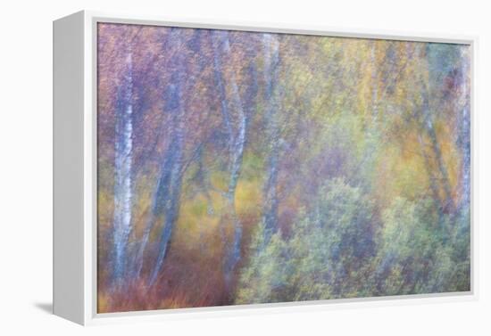 Falls Fire-Doug Chinnery-Framed Premier Image Canvas