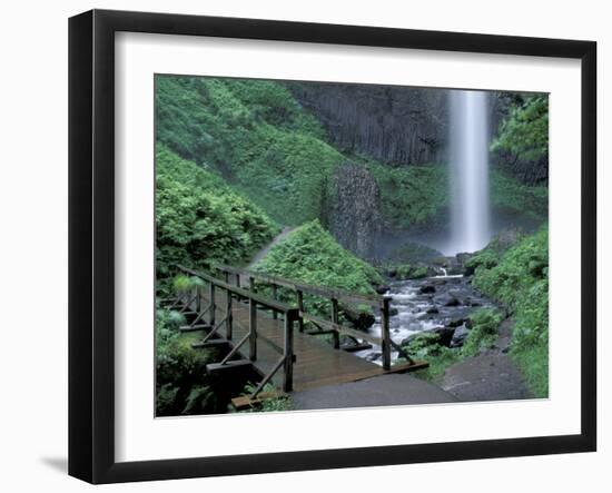 Falls from Foot Trail, Oregon Latourell Falls, Columbia River Gorge, Oregon, USA-Jamie & Judy Wild-Framed Photographic Print