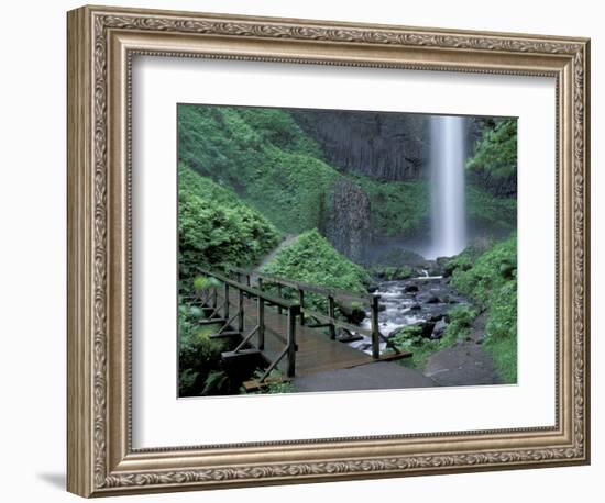 Falls from Foot Trail, Oregon Latourell Falls, Columbia River Gorge, Oregon, USA-Jamie & Judy Wild-Framed Photographic Print