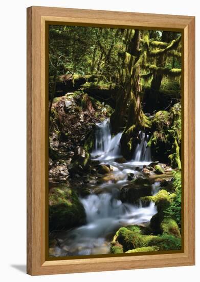 Falls in the Forest I-Brian Moore-Framed Premier Image Canvas