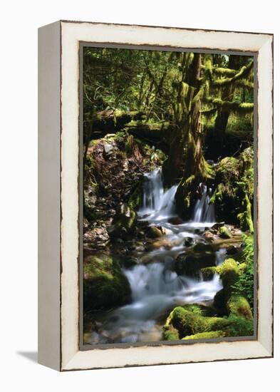 Falls in the Forest I-Brian Moore-Framed Premier Image Canvas