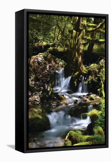 Falls in the Forest I-Brian Moore-Framed Premier Image Canvas