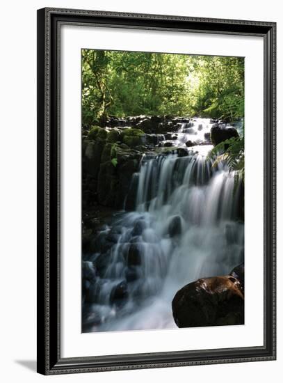 Falls in the Forest II-Brian Moore-Framed Photographic Print