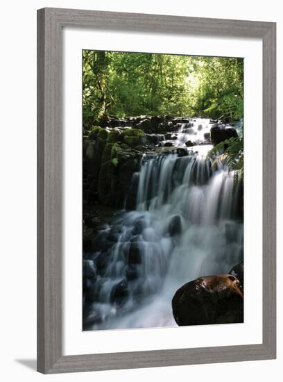 Falls in the Forest II-Brian Moore-Framed Photographic Print