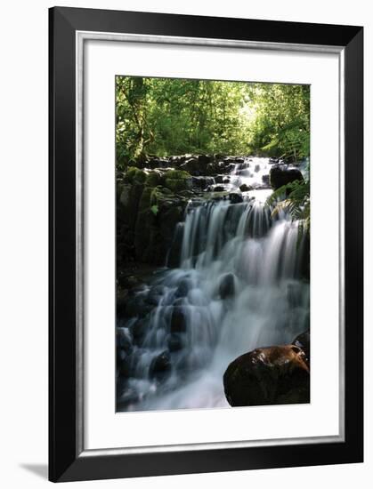 Falls in the Forest II-Brian Moore-Framed Photographic Print