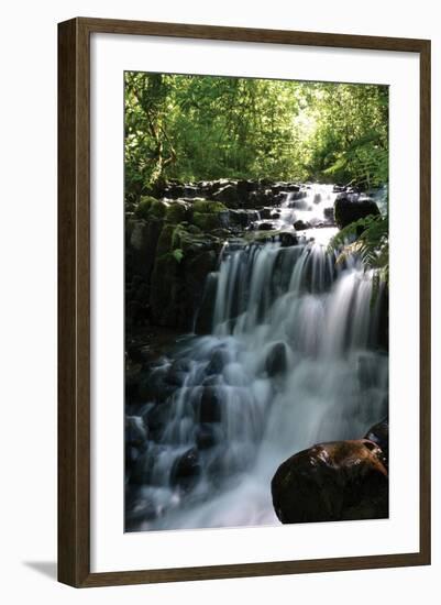 Falls in the Forest II-Brian Moore-Framed Photographic Print