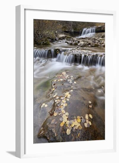 Falls on the Big Bear Creek in the Fall-James Hager-Framed Photographic Print