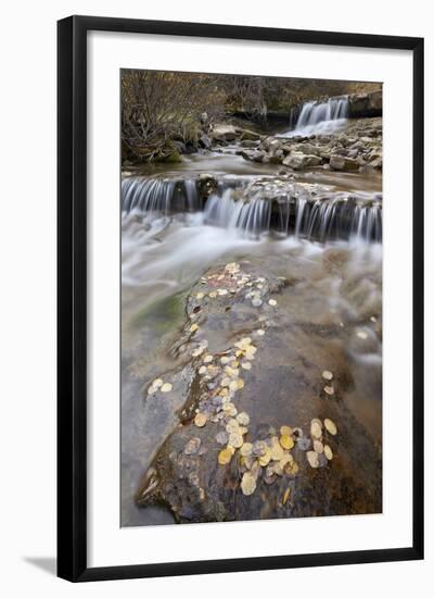 Falls on the Big Bear Creek in the Fall-James Hager-Framed Photographic Print