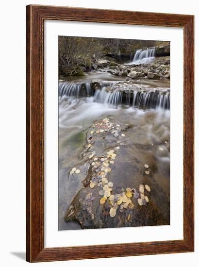 Falls on the Big Bear Creek in the Fall-James Hager-Framed Photographic Print