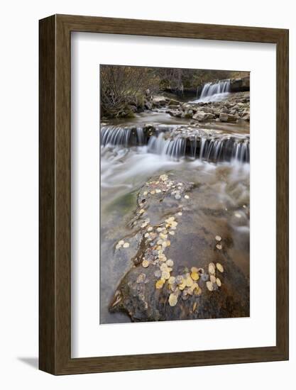 Falls on the Big Bear Creek in the Fall-James Hager-Framed Photographic Print