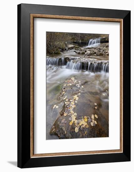 Falls on the Big Bear Creek in the Fall-James Hager-Framed Photographic Print