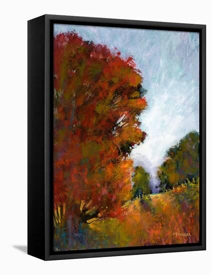 Falls Romance I-Michael Tienhaara-Framed Stretched Canvas