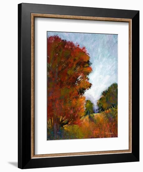 Falls Romance I-Michael Tienhaara-Framed Art Print