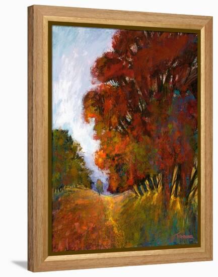 Falls Romance II-Michael Tienhaara-Framed Stretched Canvas