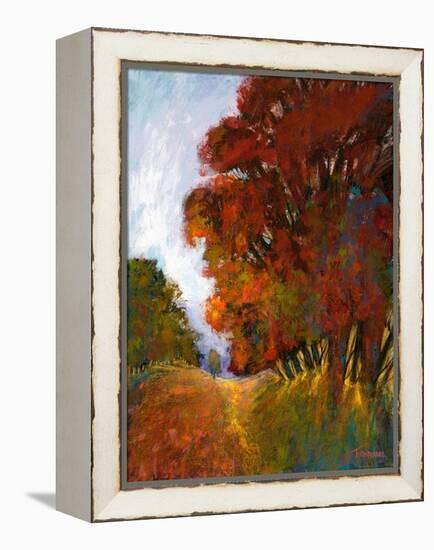 Falls Romance II-Michael Tienhaara-Framed Stretched Canvas