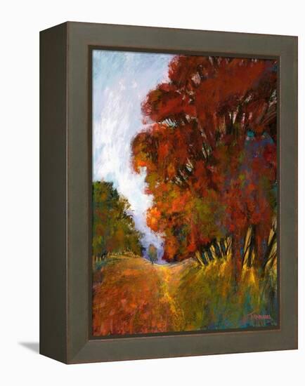 Falls Romance II-Michael Tienhaara-Framed Stretched Canvas