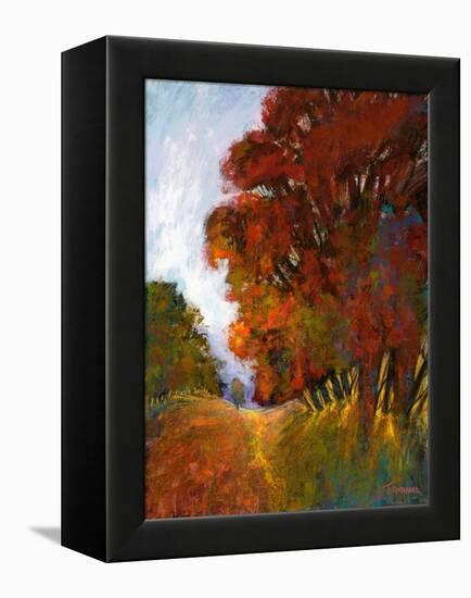 Falls Romance II-Michael Tienhaara-Framed Stretched Canvas