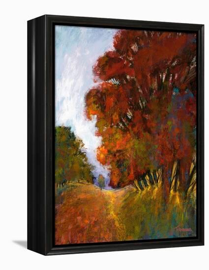 Falls Romance II-Michael Tienhaara-Framed Stretched Canvas