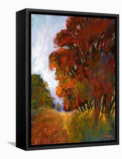 Falls Romance II-Michael Tienhaara-Framed Stretched Canvas
