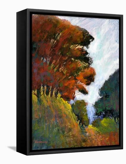 Falls Romance III-Michael Tienhaara-Framed Stretched Canvas