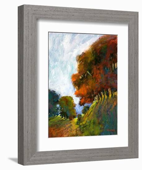 Falls Romance IV-Michael Tienhaara-Framed Art Print